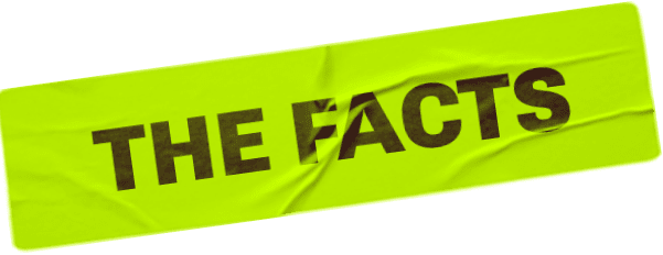 the-facts-green-rectangle